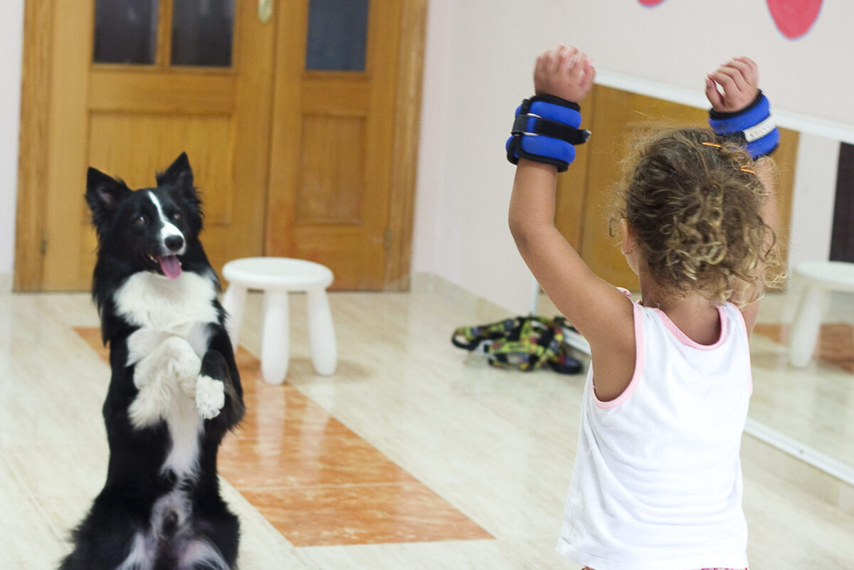 Terapia animal para personas ¿cuáles son sus beneficios?